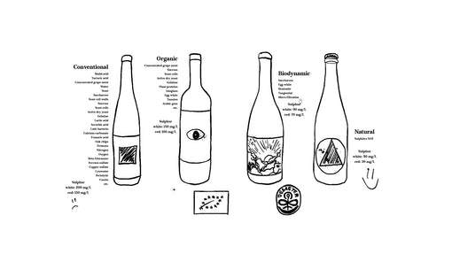 Conventional vs organic, biodynamic or natural wine